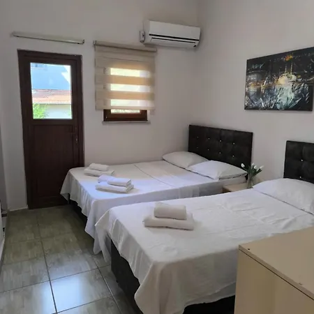 Avsar