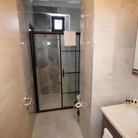 Hotel Avsar *