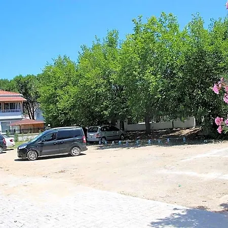 Avsar *